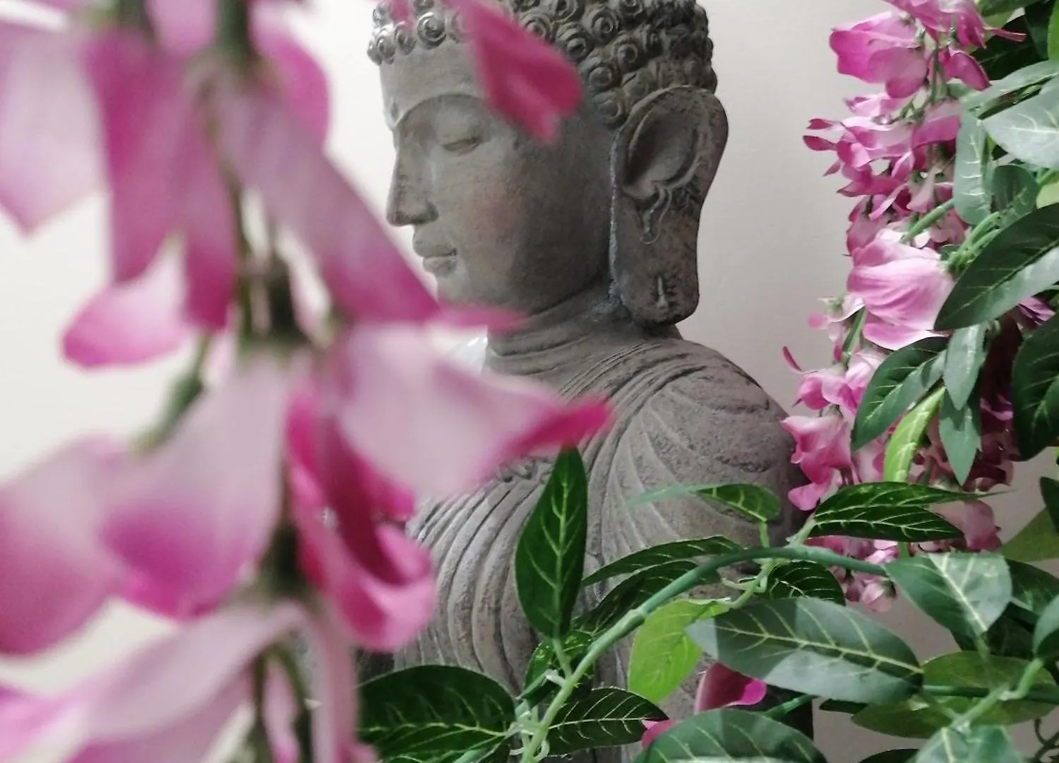 Asian & Luxury Rooms Fiumicino Guest house